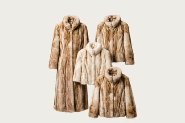 吴江区回收皮草衣服